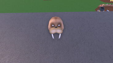 Featured Wacky Wizards Foryxes Head