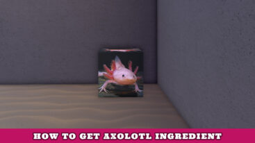 Featured Wacky Wizards Axolotl