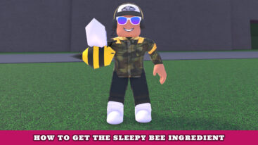 Featured Wacky Wizards Sleepy Bee