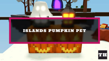 Featured Islands Pumpkin Pet