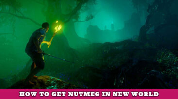 Featured New World Nutmeg Guide
