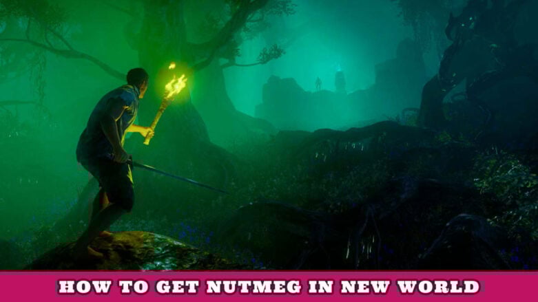Featured New World Nutmeg Guide