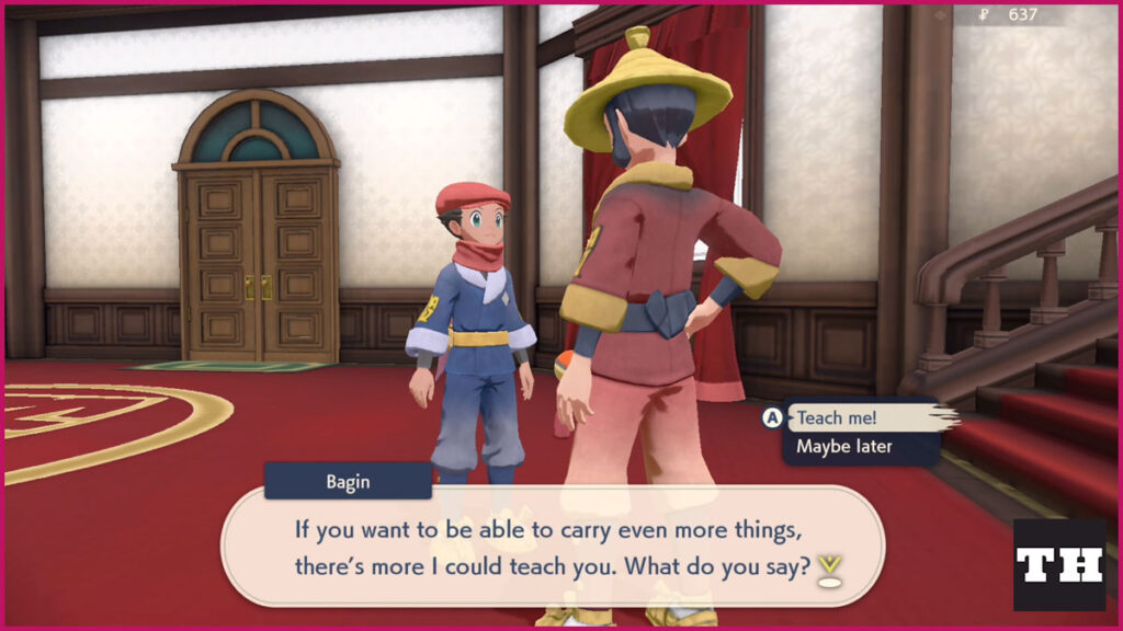 Pokemon Arceus Satchel Increase Vendor