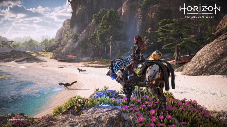 Horizon Environment