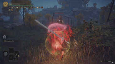 Elden Ring Buffs
