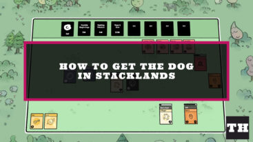 Featured Stacklands Dog Guide