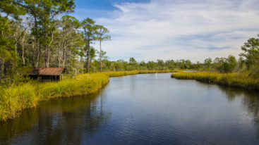 Featured Bayou