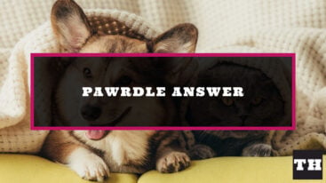 Featured Pawrdle Daily Answer