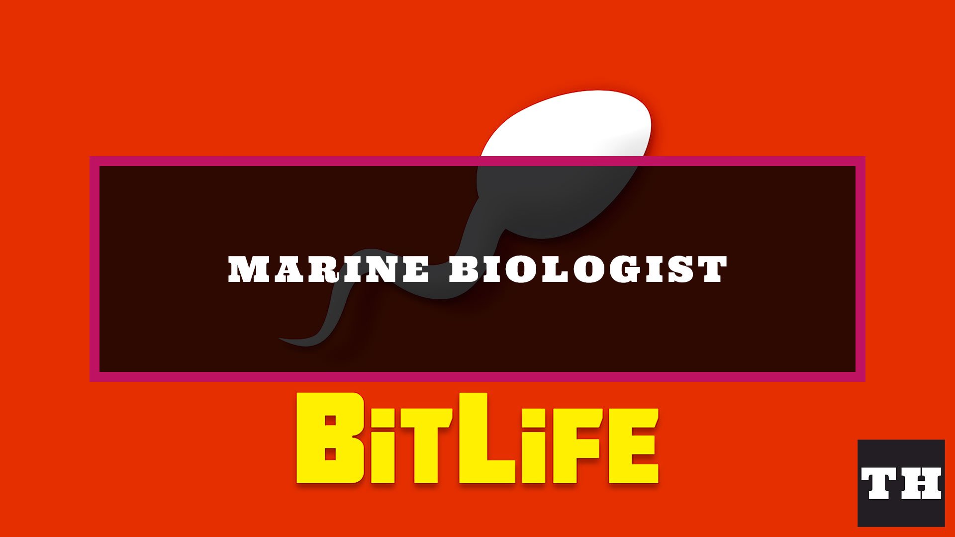 How to marine biologist in BitLife Try Hard Guides