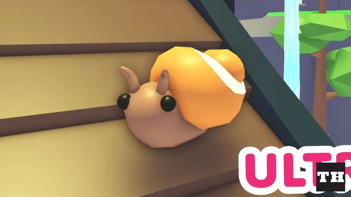 Adopt Me Japan Egg Pets List Try Hard Guides