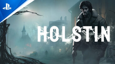 Holstin Playstation