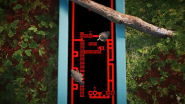 The Forest Cathedral Release Date