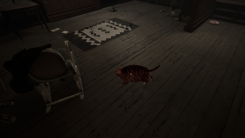 Demo Cat