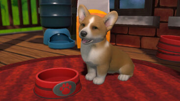 Little Friends Puppy Island Corgi With Water Bowl
