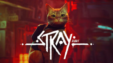 Stray Possible Xbox Release