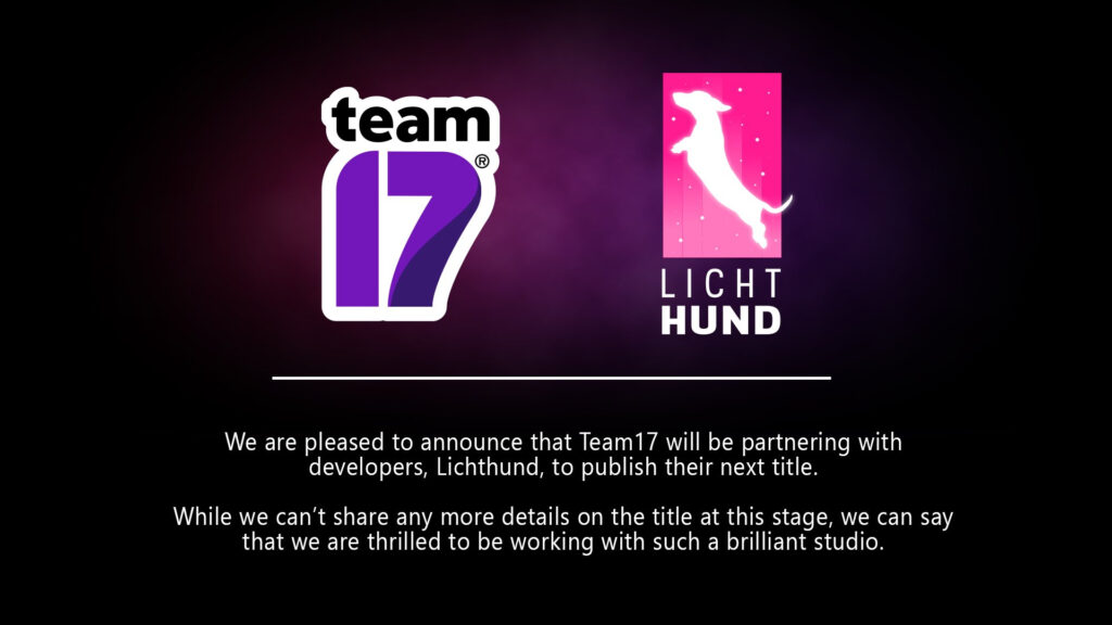 Team17 Lichthund Collaboration