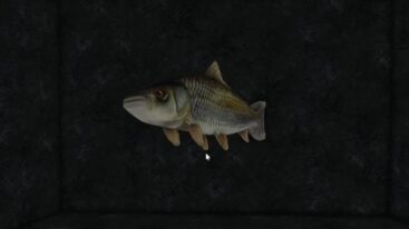 Slap Battles Spinning Floating Fish