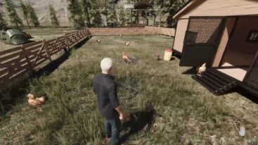 Ranch Simulator Chickens In A Field