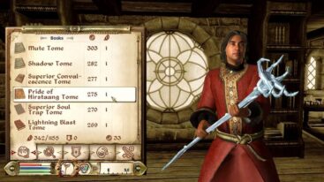The Elder Scrolls Oblivion Character With Frost Staff