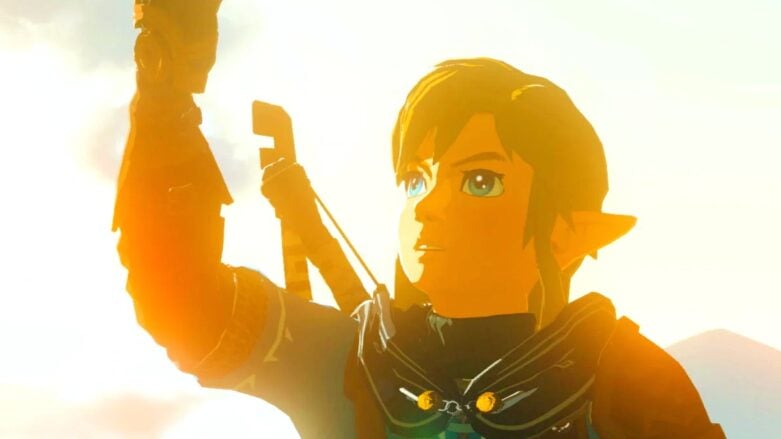 The Legend Of Zelda Tears Of The Kingdom Link Face Look Up