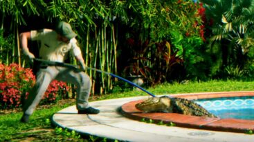 Grand Theft Auto 6 Gta Vi Animal Control Getting An Aligator
