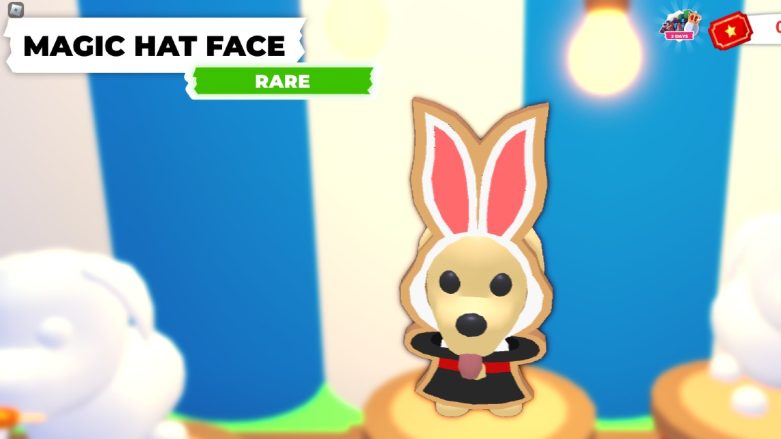 All Pet Accessories At Summer Fest in Adopt Me! - Try Hard Guides