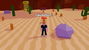 Roblox Brawl Stars Pet Simulator In A Desert Cactus Coins Boulders