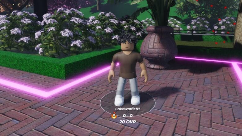 Roblox Arcade Basketball Avatar With Black Hair Wearing Brown Top Standing Near Neon Pink Line And A Huge Huge Flower Pot And Flowers