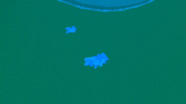Roblox Brainrot Diver Two Blue Brainrots Diving Into Water