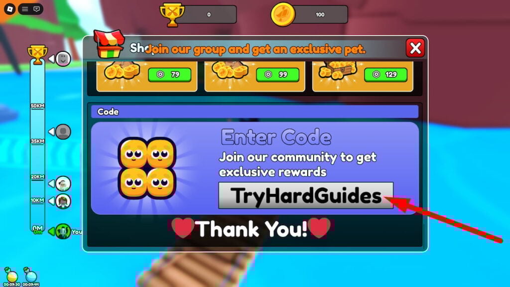 How To Redeem Codes In Kayak And Surf Roblox