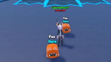 Roblox Gym Training X Avatar Wearing Silver Helmet Black Clothes Standing Near Two Floating Square Looking Fox Pets