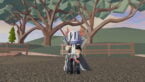 Roblox Knife Ability Test Avatar Wearing Silver Helmet Black Clothes Two Giant Swords On Back Holding Small Black Knife Standing Near Fence And Trees