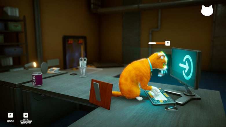 Schrodingers Cat Burglar Hacking