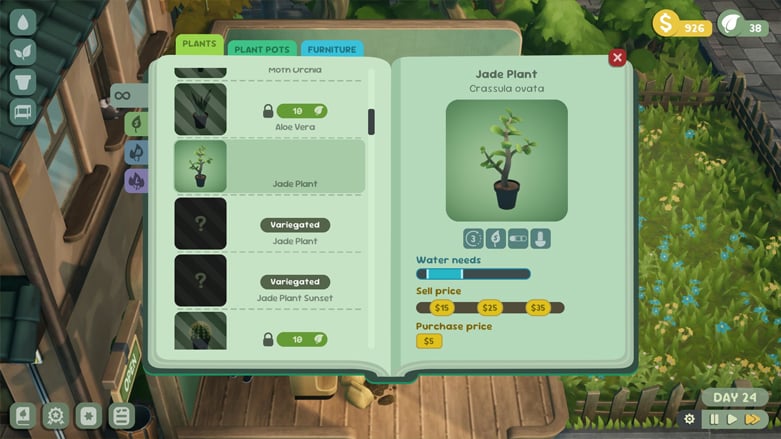 Leafy Corner Plants